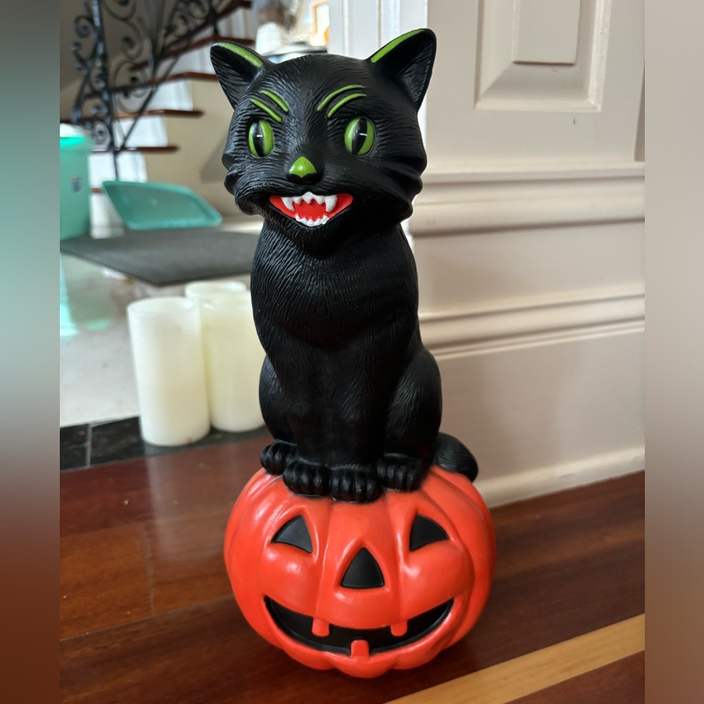Halloween Black Cat Pumpkin